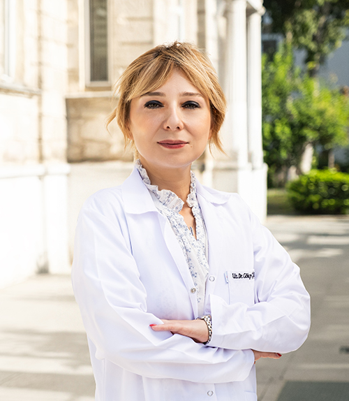 gokce-cicek